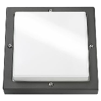 LED wall light Bassi 10W graphite/opal twilight switch, 623188 - Promotional item
