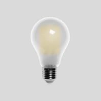 LED bulb for E27 2700K matt T1 13564