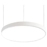 LED-Pendel-Flchenleuchte direkt 3000K 13613173