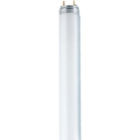 Fluorescent lamp 18,8W 26mm 6500K NL-T8 18W/865/G13