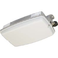 Ex-proof emergency/security luminaire nD8611 L02 W ZB