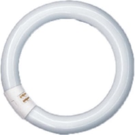 Fluorescent lamp ring shape 22,89999999W NL-T9 22W/840C/G10Q