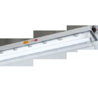 LED-Ex-Wannenleuchte e840 06L22 DV CPD