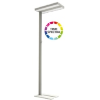 Floor lamp 1x60W LED exchangeable silver 5227-055075