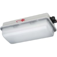 Ex-proof emergency/security luminaire 3h e856F L20/3/2,5