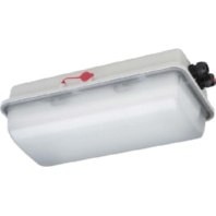 Explosion proof luminaire fixed mounting e855F L05