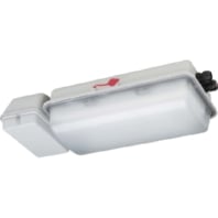 Ex-proof emergency/security luminaire 1h e856F L20/1/1,6 H