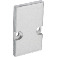 End cap for luminaires 62399110