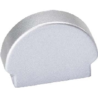 End cap for luminaires 62399912