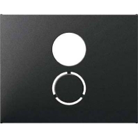 Central cover plate 11847006