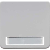 Cover plate for switch/push button white 162909