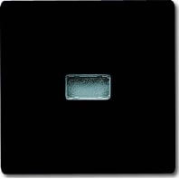 Cover plate for switch/push button 2107-35