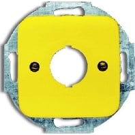 Basic element with central cover plate 2533-214-15