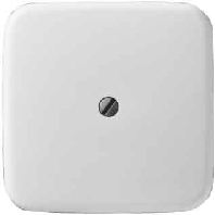Central cover plate 2536-214