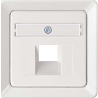 Central cover plate UAE/IAE (ISDN) 206524
