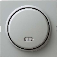 Push button 1 make contact (NO) grey 015342