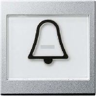Cover plate for switch/push button 021726