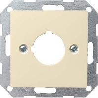 Central cover plate 027201