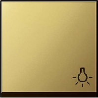 Cover plate for switch/push button brass 0285604