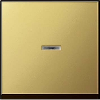 Cover plate for switch/push button brass 0290604