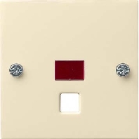 Cover plate for switch/push button 063801