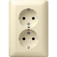 Socket outlet (receptacle) 078001