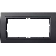 Frame 2-gang anthracite 100208