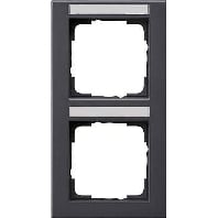 Frame 2-gang anthracite 110223