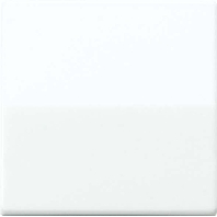 Cover plate for switch/push button white AS 591 BFS WW