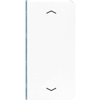 Cover plate for switch white CD 402 TSAP WW