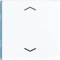 Cover plate for switch white CD 404 TSAP WW 14
