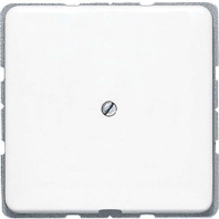 Basic element with central cover plate CD 590 A GB