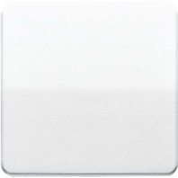 Cover plate for switch/push button grey CD 590 BF LG