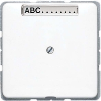 Basic element with central cover plate CD 590 NAA WW