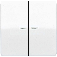 Cover plate for switch/push button CD 595 KO5