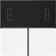 Cover plate for switch black LS 4093 TSA SW