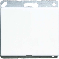 Basic element with central cover plate SL 590 A GB