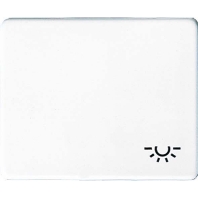 Cover plate for switch/push button SL 590 L GB
