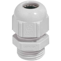 Cable gland / core connector ST Pg21 R7035 LGY