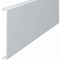 Kanaloberteil 110x2000mm,PVC 2410 110RW