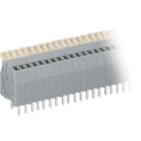 Printed circuit board terminal block 234-224