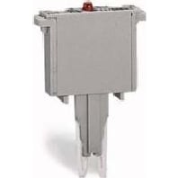 Component plug terminal block 280-801/281-417