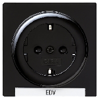 Socket outlet (receptacle) 018747