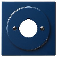 Central cover plate 027246