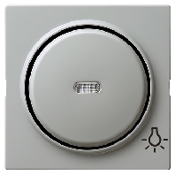 Cover plate for switch/push button grey 028542