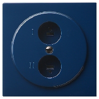 Central cover plate 040246