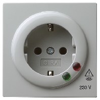 Socket outlet (receptacle) 045142