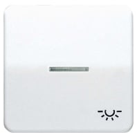 Cover plate for switch/push button CD 590 KO5L GB