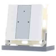 KNX Push Button Plus TS 55 2-fold, White matt finish BE-TA55T2.02