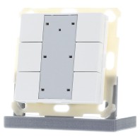 KNX Push Button Plus TS 55 6-fold, White matt finish BE-TA55T6.02